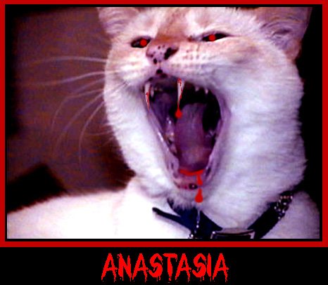 Countess Anastasia