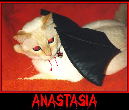 Countess Anastasia