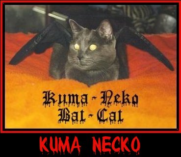 Countess Kuma