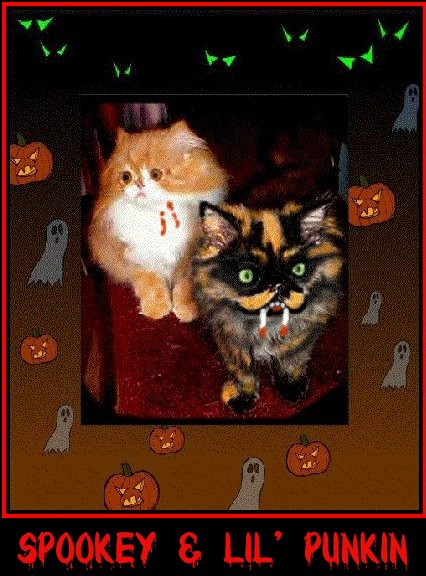 Punkin and Spook